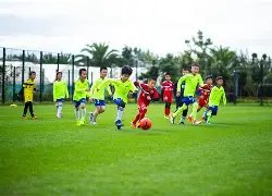 韩国,首曝,纯血,欧博会员登录入口,abg欧博官网,欧博abg